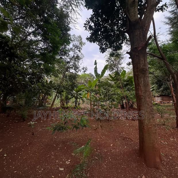 Half Acre Plot for Sale in Njathaini Road,Off Kiambu Rd at Kes 26m