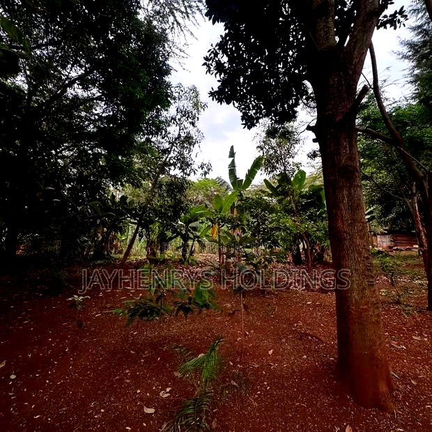 Half Acre Plot for Sale in Njathaini Road,Off Kiambu Rd at Kes 26m