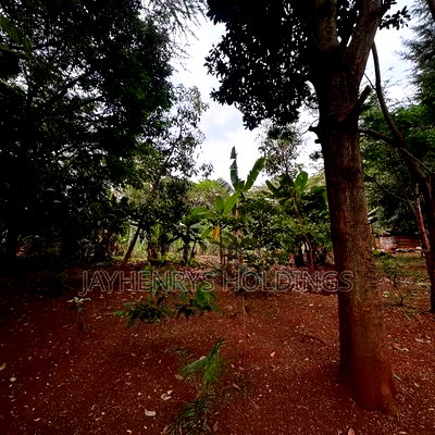 Half Acre Plot for Sale in Njathaini Road,Off Kiambu Rd at Kes 26m - Image 5