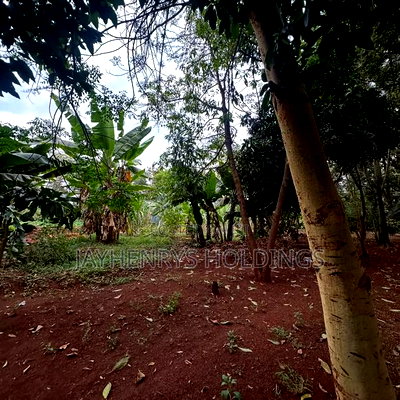Half Acre Plot for Sale in Njathaini Road,Off Kiambu Rd at Kes 26m - Image 7