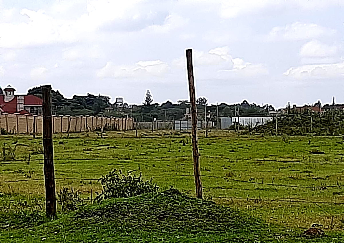 0.99 Acre Garden Plot in Karen