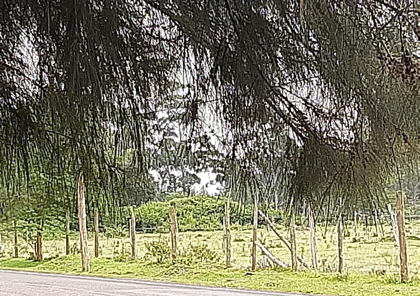 0.99 Acre Garden Plot in Karen