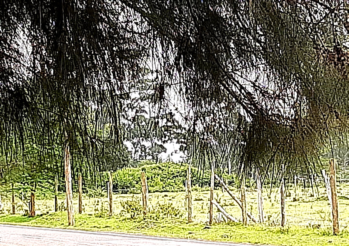 0.99 Acre Garden Plot in Karen