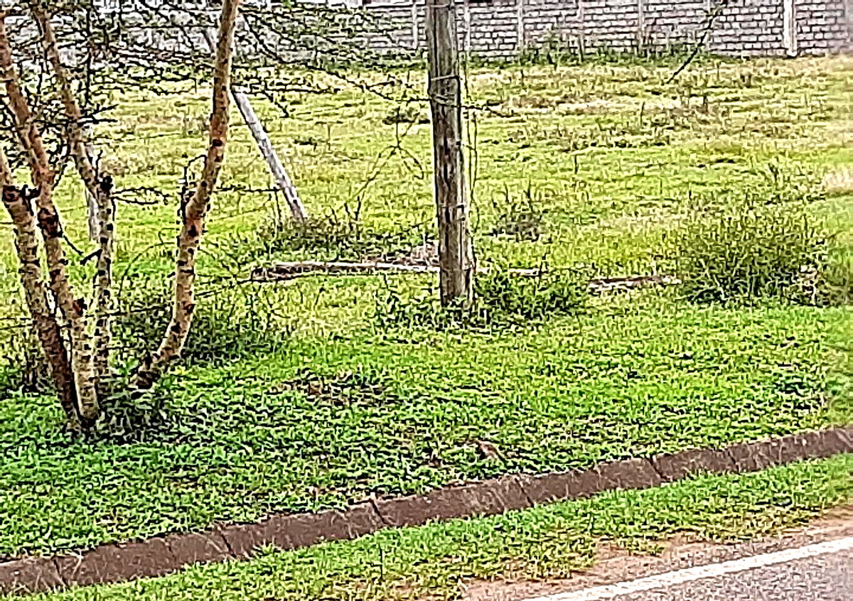 0.99 Acre Garden Plot in Karen