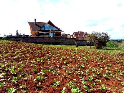 Residential Plot on Sale at Ruiru Off Githunguri Rd - Image 4