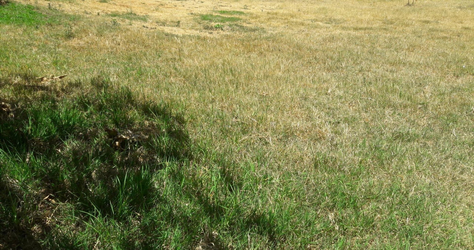 Half Acre Plot in Uthiru