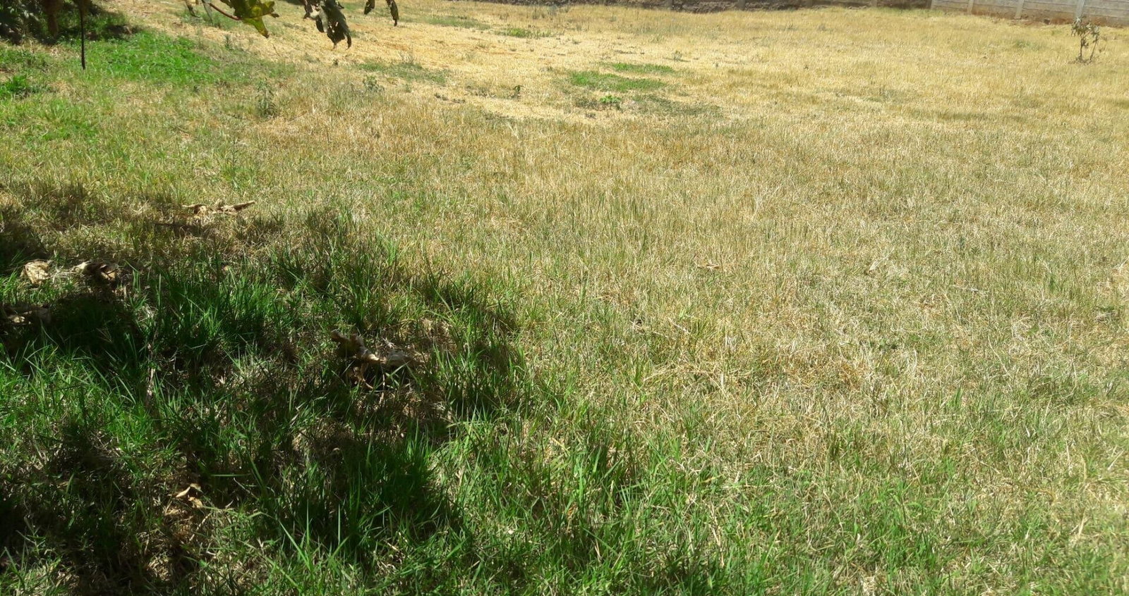 Half Acre Plot in Uthiru