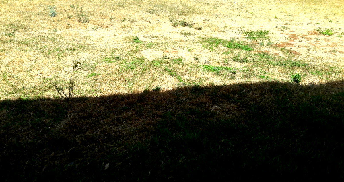 Half Acre Plot in Uthiru
