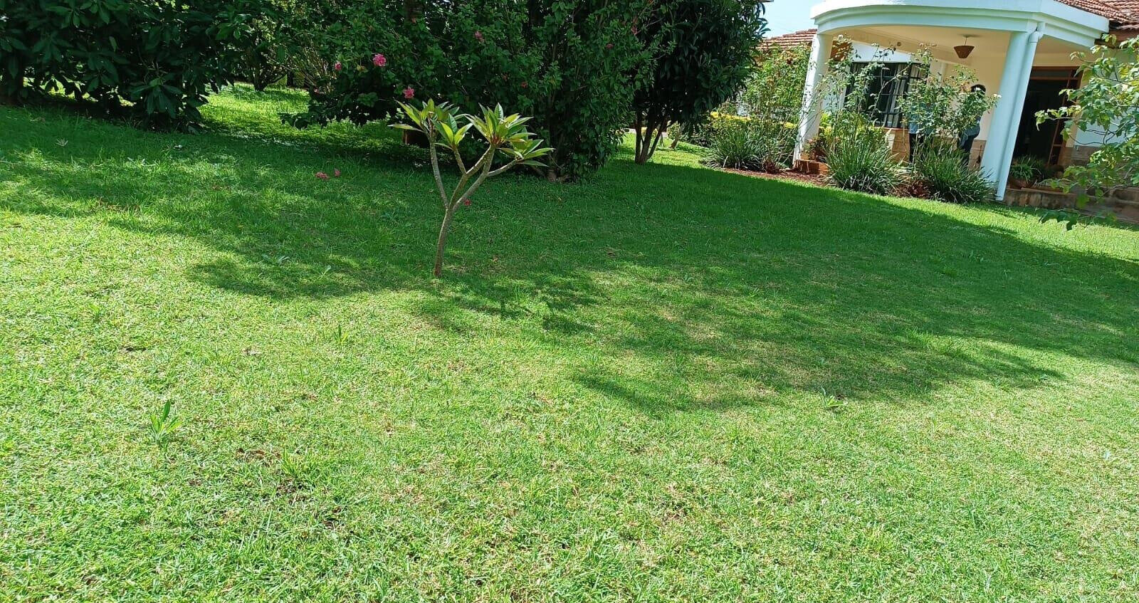 3-Bed Bungalow with 2-Bed SQ in Gated Karen Estate