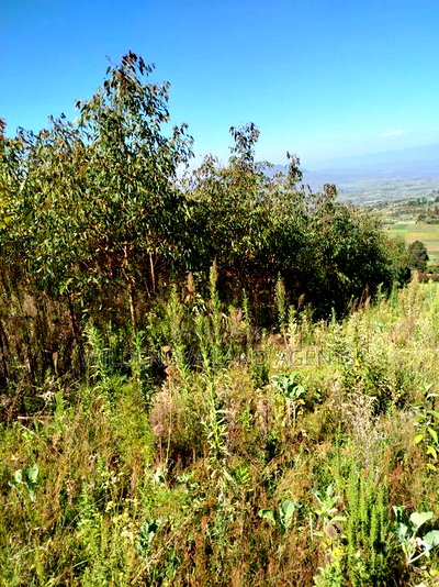 Land on Sale at Flyover Viewpoint Naivasha - Image 6