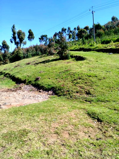 Land on Sale at Flyover Viewpoint Naivasha - Image 5