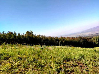 Land on Sale at Flyover Viewpoint Naivasha - Image 4