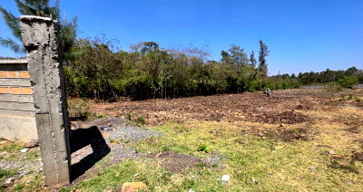 Half Acre Pet Friendly Plot in Ngong