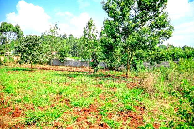 Prime 1/4-Acre Residential Plot for Sale Kikuyu, Thogoto