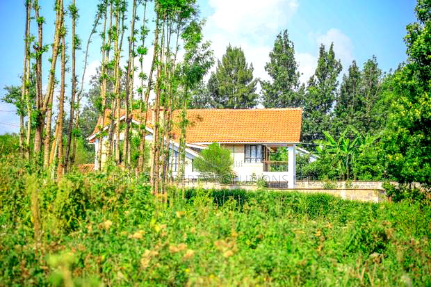 Prime 1/4-Acre Residential Plot for Sale Kikuyu, Thogoto