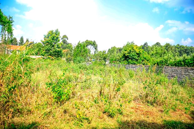 Prime 1/4-Acre Residential Plot for Sale Kikuyu, Thogoto