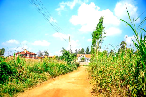Prime 1/4-Acre Residential Plot for Sale Kikuyu, Thogoto
