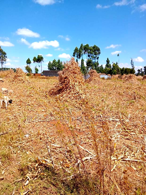 1/2 Acre Kiplombe With Title