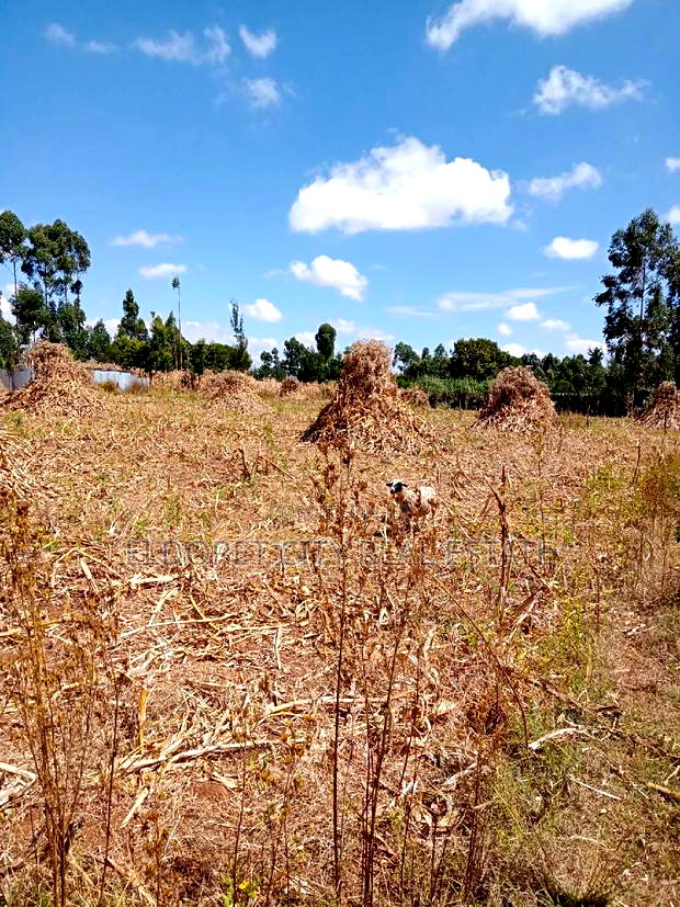 1/2 Acre Kiplombe With Title