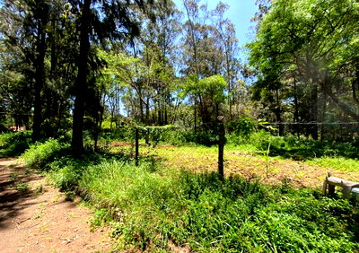 1/2 Acre Lakeview Plot for KSh 100M