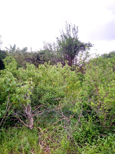 994acres for Sale - Image 3