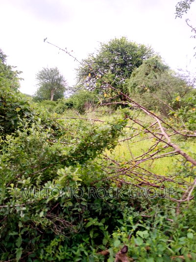 994acres for Sale - Image 2