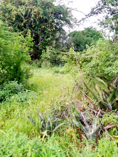 994acres for Sale - Image 4