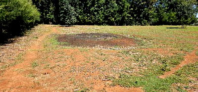 Plots for Sale in Racecours Borderingelgonview in Eldoret - Image 3