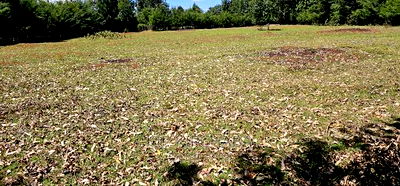 Plots for Sale in Racecours Borderingelgonview in Eldoret - Image 14