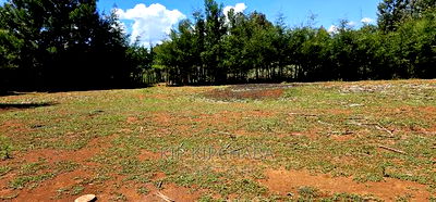 Plots for Sale in Racecours Borderingelgonview in Eldoret - Image 4
