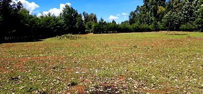Plots for Sale in Racecours Borderingelgonview in Eldoret - Image 9