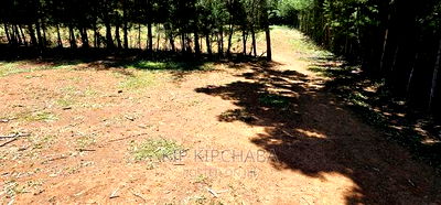 Plots for Sale in Racecours Borderingelgonview in Eldoret - Image 1