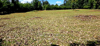 Plots for Sale in Racecours Borderingelgonview in Eldoret - Image 13