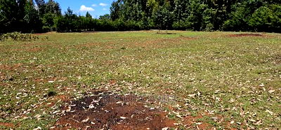 Plots for Sale in Racecours Borderingelgonview in Eldoret - Image 10