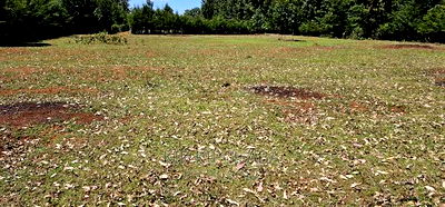 Plots for Sale in Racecours Borderingelgonview in Eldoret - Image 12