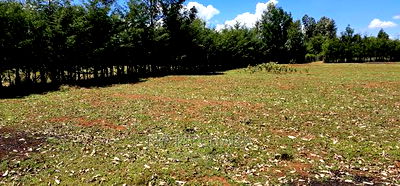 Plots for Sale in Racecours Borderingelgonview in Eldoret - Image 11