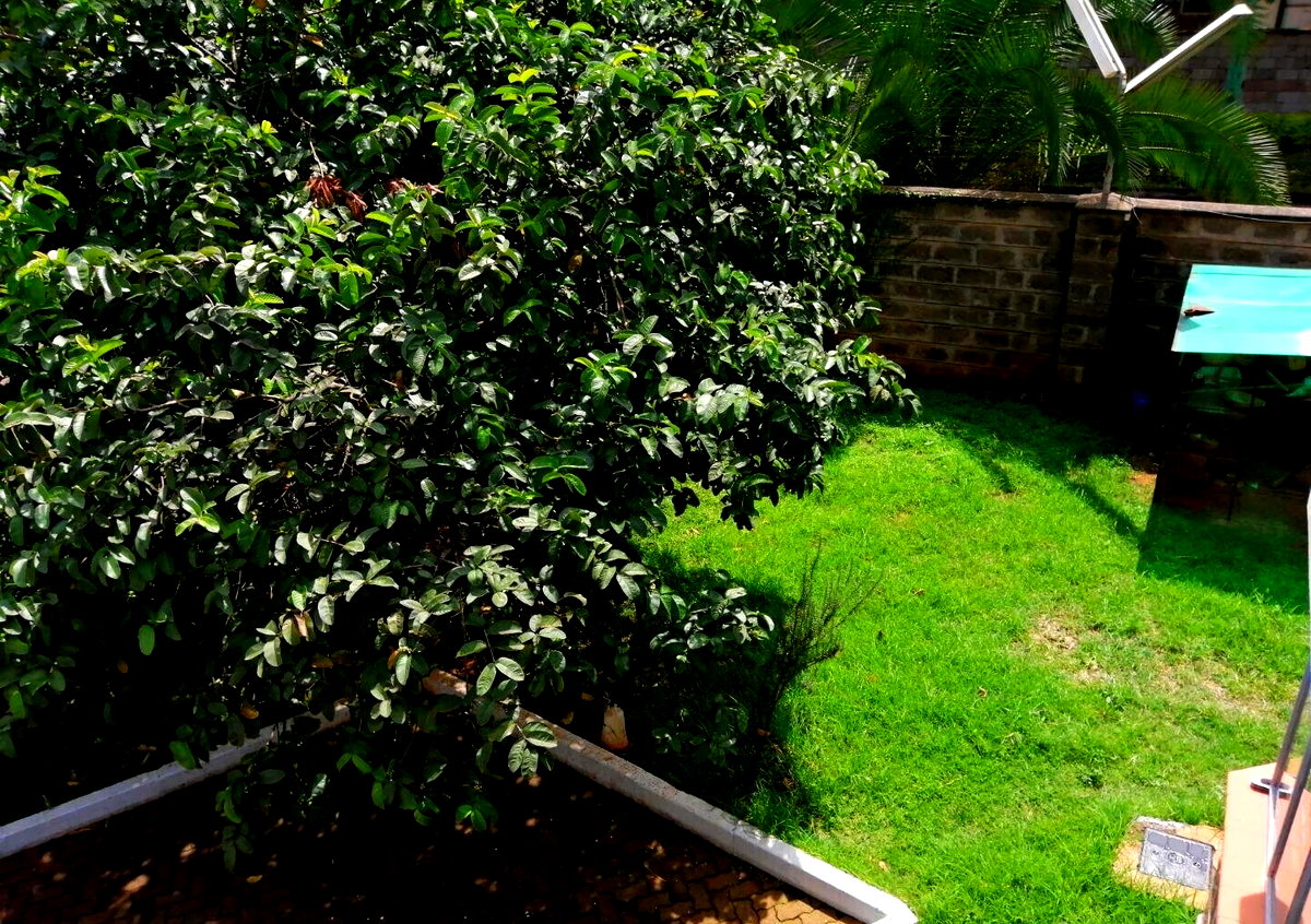 Corner Townhouse with Mature Private Garden & DSQ - Lavington
