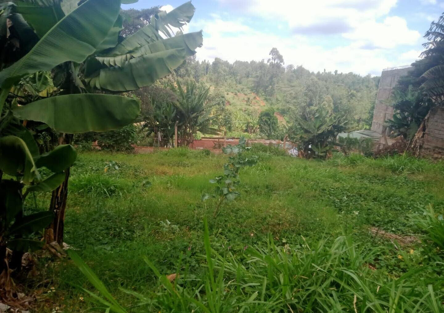 Kiambu Quarter Acre for KSh 60M