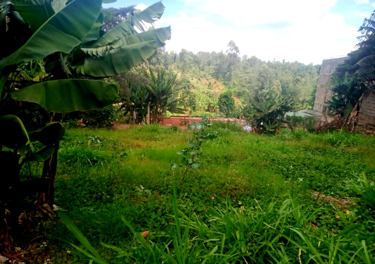 Kiambu Quarter Acre for KSh 60M