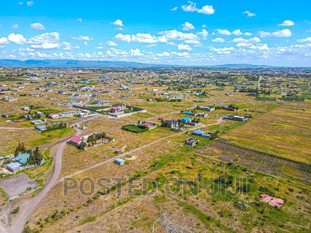 Golden Soil in Malaa.