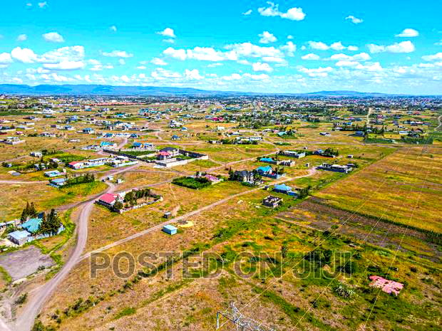 Golden Soil in Malaa.