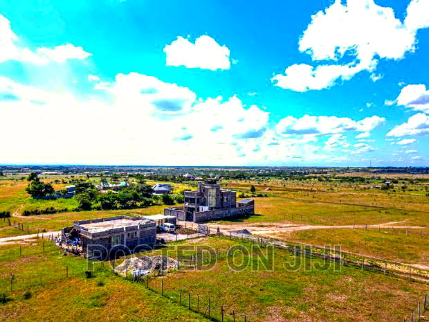 Golden Soil in Malaa.