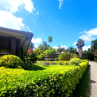 Commercial Property to Let - Image 6