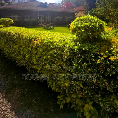 Commercial Property to Let - Image 5