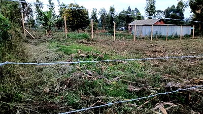 Buy and Build Prime Plot in Kikuyu Muguga - Image 3