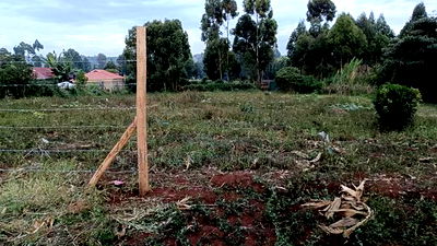 Buy and Build Prime Plot in Kikuyu Muguga - Image 2