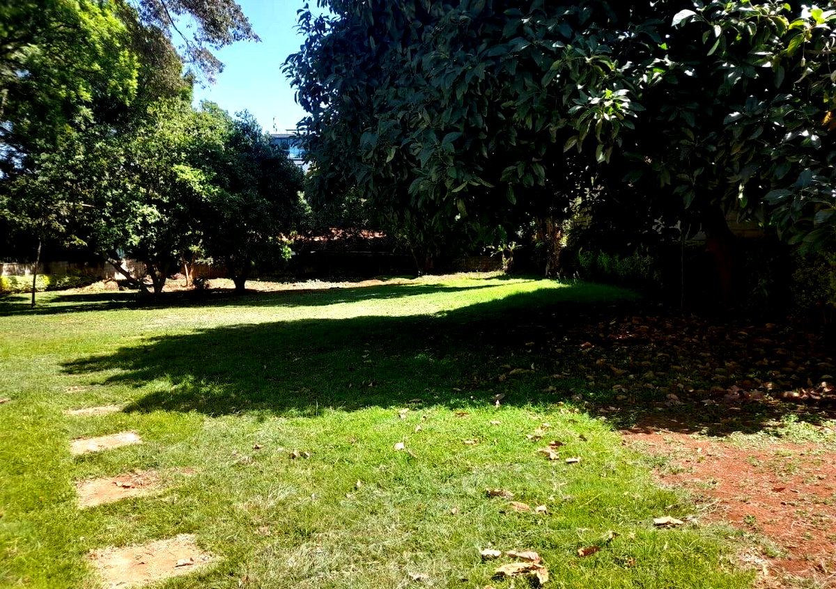1.1-Acre Garden Estate at KSh 300K