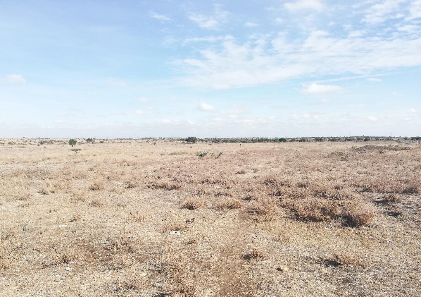 8.9-Acre Land in Isinya