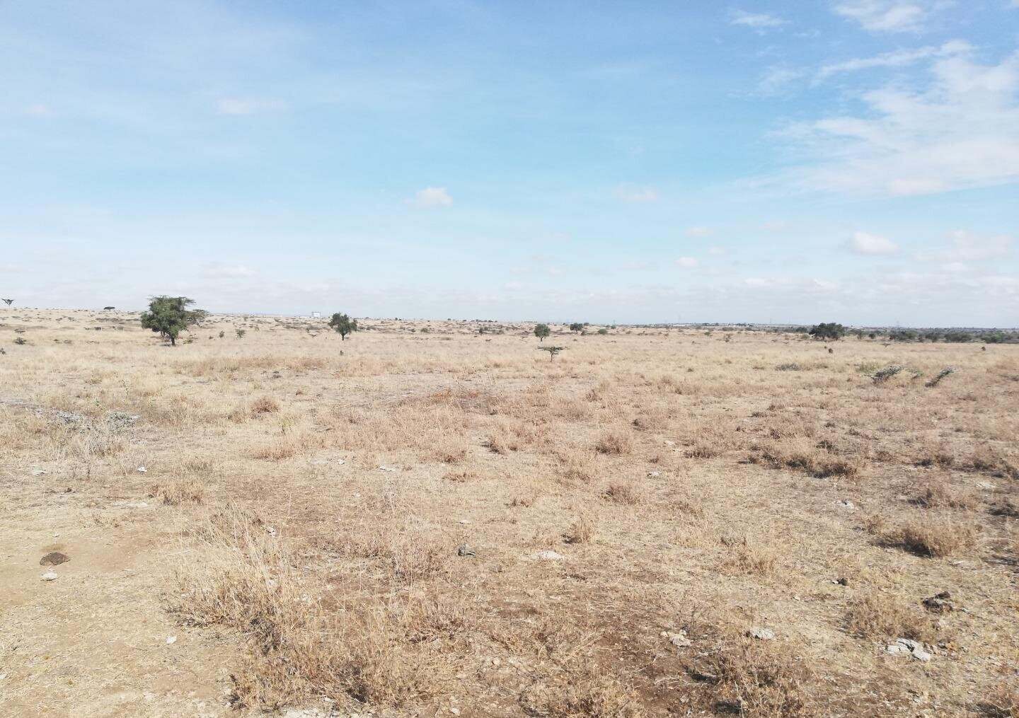 8.9-Acre Land in Isinya