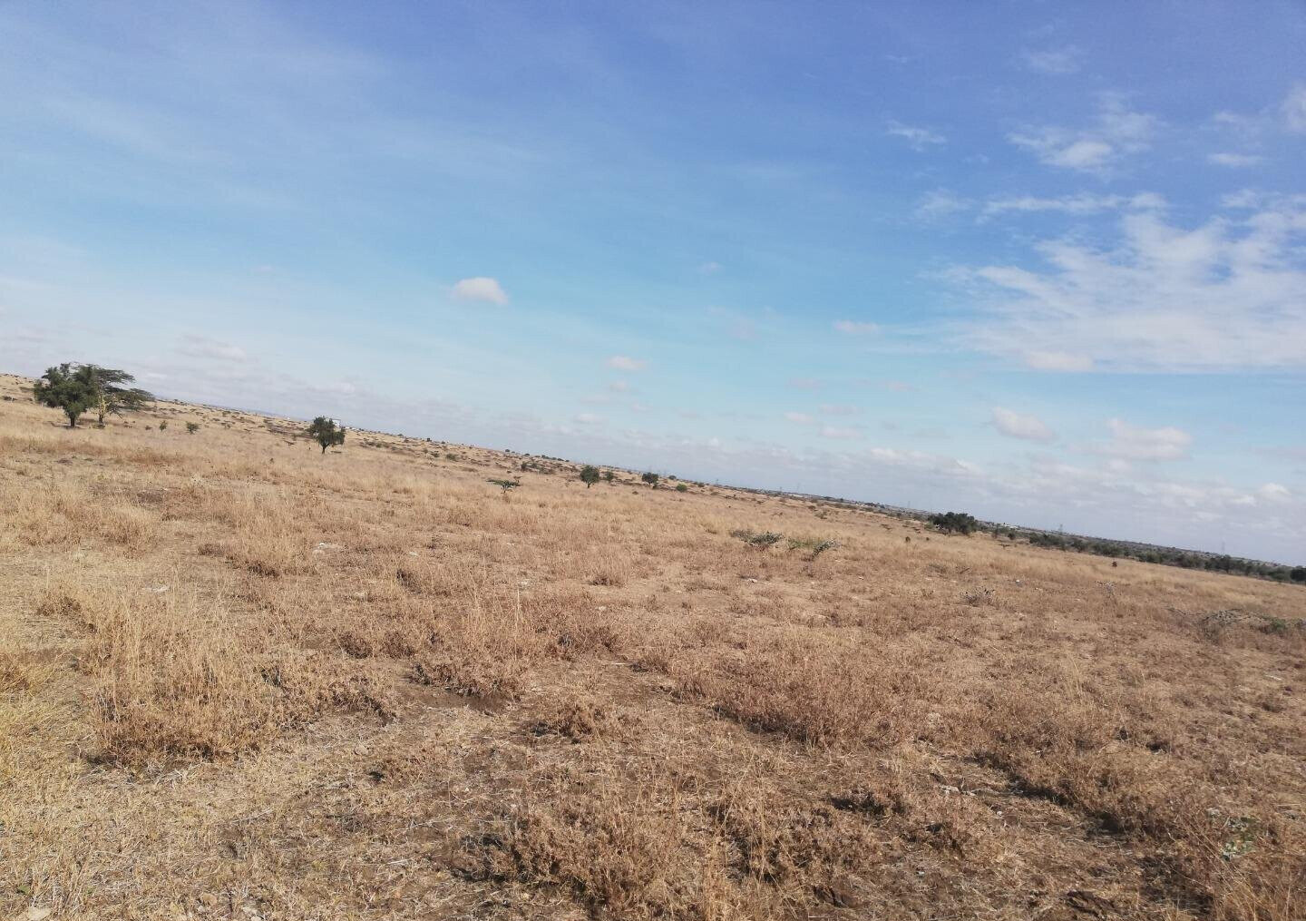 8.9-Acre Land in Isinya